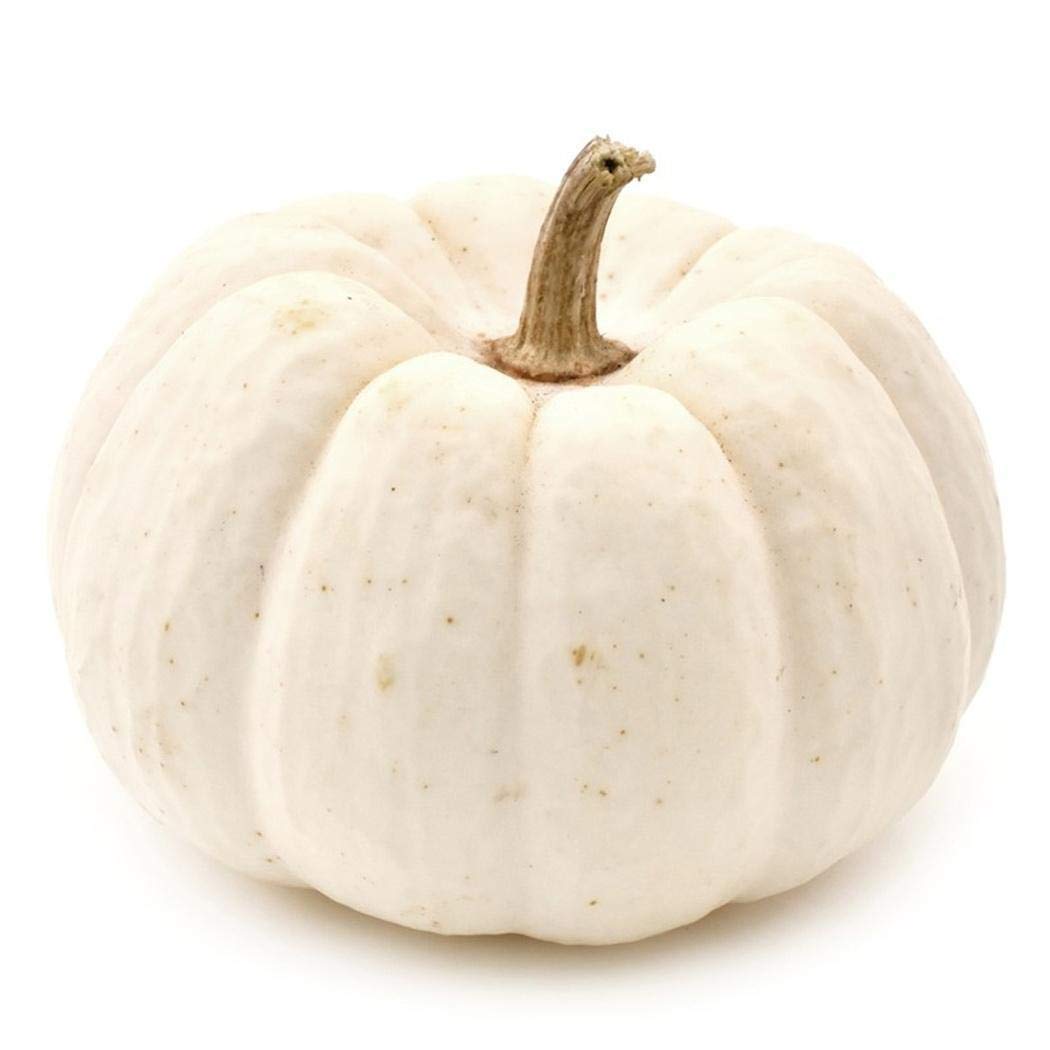 тыква squash lunar. как выглядит белая тыква. тыква ви би. дисковидная тыква. тыква бурская белая.