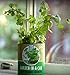 Back To The Roots Garden in a Can Grow Organic Cilantro, 2 Count