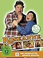 Roseanne - Die komplette 9. Staffel (Digipack, 4 DVDs)