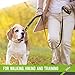 Heavy Duty Dog Leash - 2 Handles - Padded Traffic Handle for Extra Control, 7ft Long - Perfect Leashes for Medium to Large Dogs (Black and Green)