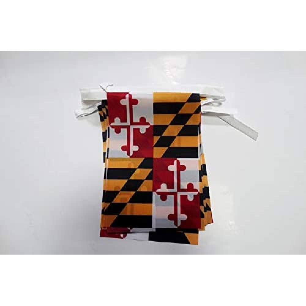 AZ FLAG Maryland Bunting Flag, 20 Ft Garland 20 Small US state of Maryland Flags 8'' x 6'', 100% Polyester String Pennant, 6 meters