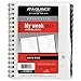 AT-A-GLANCE Weekly / Monthly Appointment Book / Planner Refill 2017, for 70-545, 6-5/8 x 8-3/4