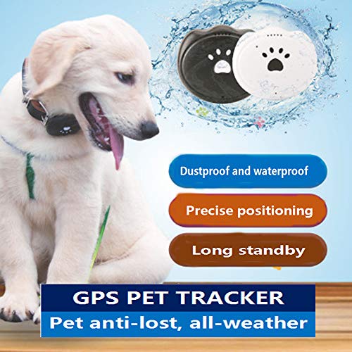 Jason Zeng Pet GPS Satellite Tracker & Activity Monitor Intelligent 5-Level Positioning System, No Subscription Fee IP67 Depth Waterproof Dog & Rare Animal Searcher Locator Trajectory Tracking Alarm