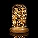 Weico LED String Lights 99ft 300 LEDs Dimmable with Remote Control, Copper Wire Starry Lights for DIY Bedroom, Patio, Garden, Gate, Yard, Party, Wedding (Warm White)