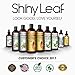 Moroccan Argan Oil Shampoo and Conditioner Set, Sulfate Free, Safe for Color Treated Hair, Anti-Hair Loss Treatment, Repair.