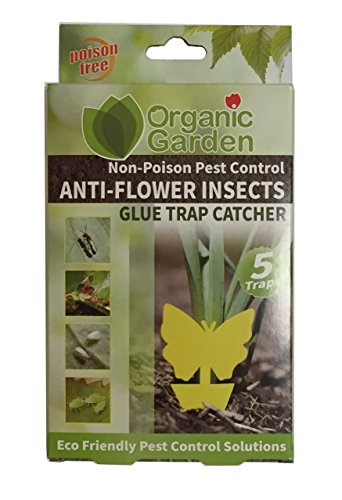 LeaveMeBe Gnat Trap Yellow Sticky Traps for Indoor Plants Dual Sided Glue for Small Fruit Flies and  - //coolthings.us