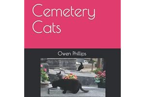 Cemetery Cats