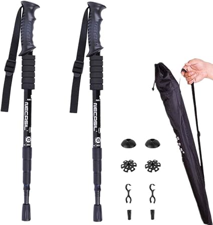 camping walking stick