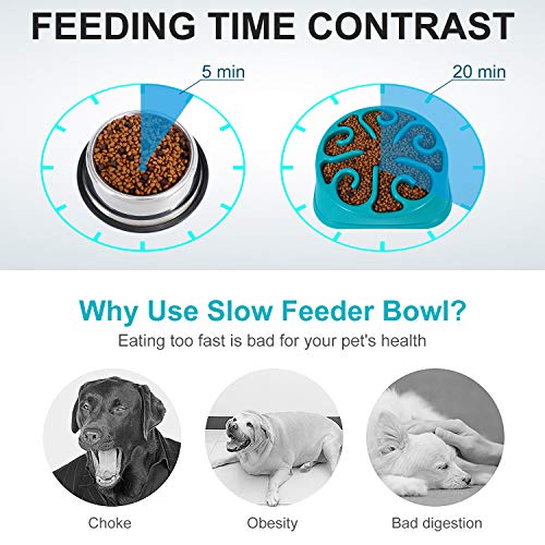 KASBAH Slow Feeder Dog Bowl for Large Dogs, Anti-Gulping Dog Food Bowls Non-Toxic Eco Friendly Maze Dog Bowl for Big Dogs, Blue