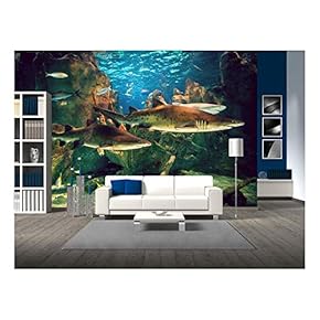 Two White Sharks in Istanbul Aquarium. - Removable Wall Mural | Self-Adhesive Large Wallpaper - 66x96 inches