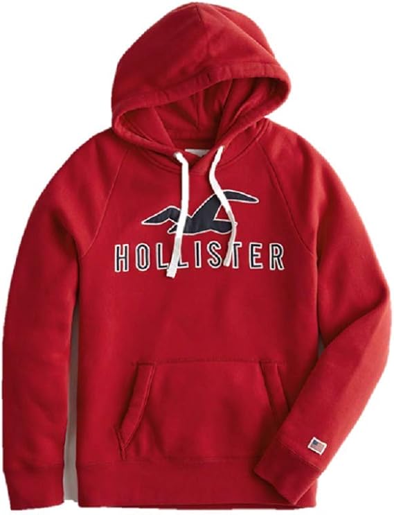 Hollister Men's Patterned Icon Hoodie Fleece Sweatshirt Hoody Applique