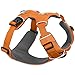 Ruffwear, Front Range Dog Harness, Reflective Soft Padded Everyday Harness with Dual Leash Clips, Adjustable and Lightweight Fit for Training or Walking for All Dogs, Orange Poppy, X-Small