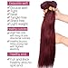Black Rose Hair 300Gram Bundles Deal Silky Straight 99J Burgundy Red Color Human Hair 3 Bundles Thick Soft Peruvian Virgin Hair Weft Exteniosn r(99J#, 20
