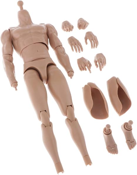 Amazon 筋肉質体型 人体モデル 12インチメンズ パーツ付き マネキン 人体スケッチ 男 画材 マッスル質 フィギュア ドール 通販
