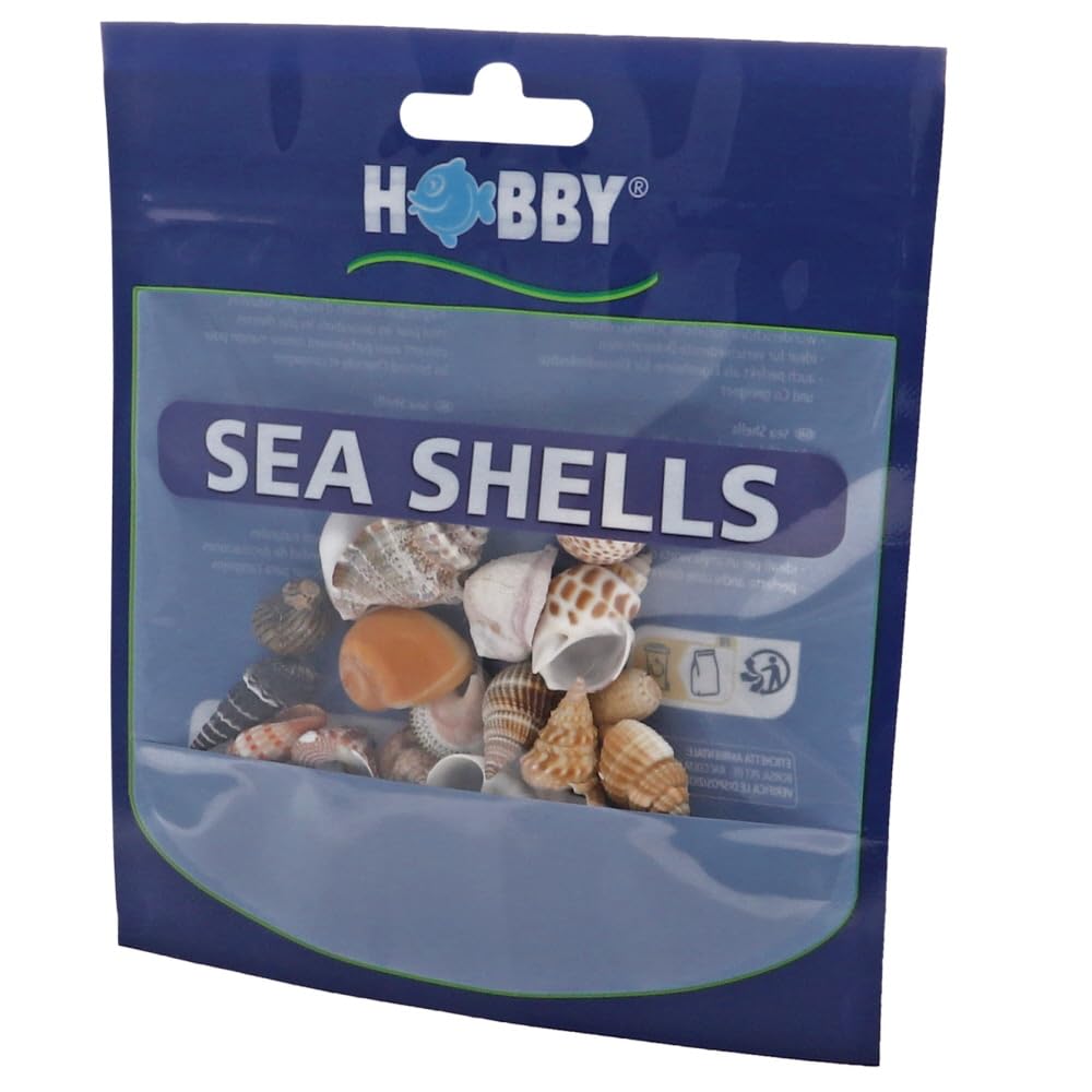 Hobby Aquarium Decoration Natural Shells Set for Hermit Crab, 20 Pieces, Natural Materials, Natural Color