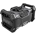 FLEX 24V Cordless Bluetooth Jobsite Radio Tool Only, Battery and Charger Not Included - FX5351-Z