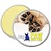 The Blissful Dog Paw Butter, Moisturizer for Dry Paw Pads, Softens and Protects a Rough Paw in Winter, Versatile, Lick-Safe Dog Paw Pad Balm, 1 oz.