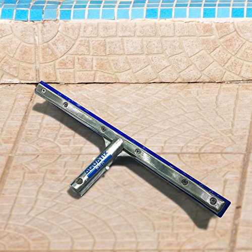 Aquatix Pro Pool Brush Head, 18