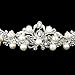 PIXNOR Rhinestone Hair Barrettes Faux Pearl Decorated Hairband for Bridal (Sliver)