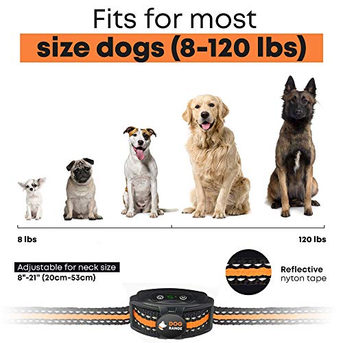 DoGRange Rechargeable Dog Bark Collar with Dual Motor Function - Humane No Shock Training - Vibration & Beeps Active Modes - All Breeds Barking - Adjustable for Small, Medium, Large Dogs - No Remote