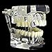 Silver Tone Single Cap Grillz Plain Canine K9 Bling Tooth Hip Hop Grill Slug