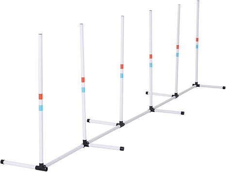 teaching weave poles