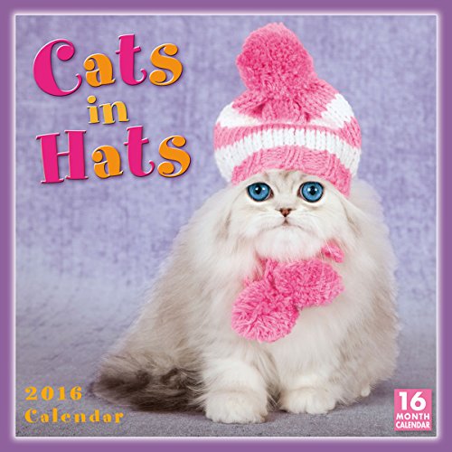 Cats In Hats 2016 Wall Calendar Cats In Hats 2016 Wall Calendar