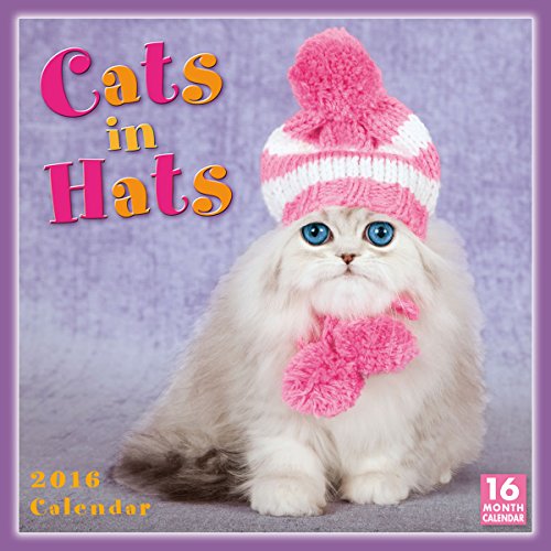 Cats In Hats 2016 Wall Calendar by 