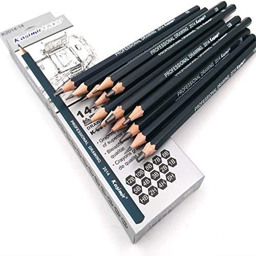 Sketching Pencil Set, DDream 14 Pcs Drawing Pencil Sketch Pencils Set for Artists Adults Children Include 12B 10B 8B 7B 6B 5B 4B 3B 2B B HB 2H 4H 6H Graphite Professional Sketch Pencils Set