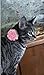 Designer Breakaway Cat Collar with Bell Soft Cloth Flower Ball Adjustable Velvet Kitty Puppy Dog Necklace Light Pink