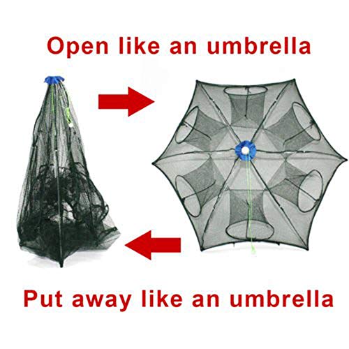 Bonlting Portable Folded Fishing Net - Crab Trap,Minnow Traps,Shrimp Trap,Fishing Bait Traps,Crayfish Trap, (6 Sides 12 Holes)