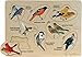 Lift and Learn Peterson's Backyard Birds Puzzle - Made in USA