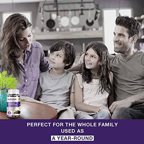 3 Pack High Potency Elderberry Gummies with Zinc - Black Elderberry Pectin Vitamin C - Echinacea - Immunity Support Dietary Herbal Supplements - Adult & Kids - Made in USA