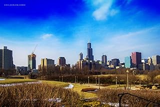 Livro Chicago, IL: Uma visita ao FIELD MUSEUM e uma tournê pela cidade dos ventos! (Travelling to?)