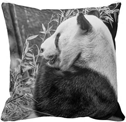Reasonwe Custom Panda Bear Throw Square Pillow Case 18x18 Inches for put in Car Seat, Patio, Bedroom, Couch, Sofa