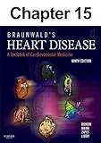 Echocardiography: Chapter 15 of Braunwald's Heart Disease: A Textbook of Cardiovascular Medicine