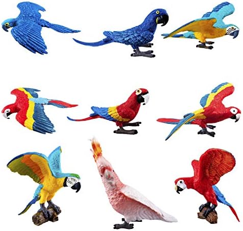 Amazon Toymany 動物フィギュア 鳥フィギュアセット オウムフィギュア 9pcs 鳥類 モデル リアルな動物おもちゃ Absプラスチック製 知育玩具 定番玩具 子供誕生日ギフト コレクション ６歳以上の子供向け フィギュア ドール 通販
