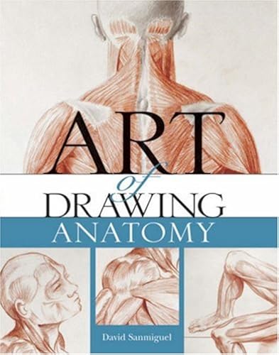 Download The Art of Drawing Anatomy PDF