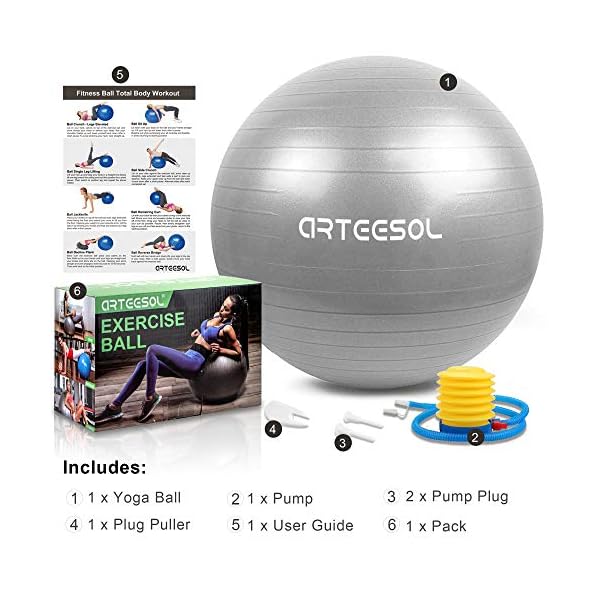 arteesol-Exercise-Ball-Gym-Ball-Anti-Burst-Yoga-Ball-45cm55cm65cm75cm-Extra-Thick-Swiss-Ball-with-Pump-for-Fitness-Birthing-Physio-Balance-Pilates Blackace arteesol Exercise Ball, Gym Ball Anti-Burst Yoga Ball, 45cm/55cm/65cm/75cm Extra Thick Swiss Ball with Pump…