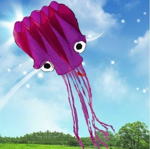 5m large octopus parafoil kite with handle & string