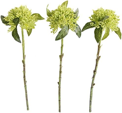 Jasming Pack of 3 Artificial Flowers Chrysanthemum Ball 17 Inch Faux Dusty Green Plastic Plant Arrangement Craft Supplies for Crown centerpieces Wedding DIY Materials (Green)