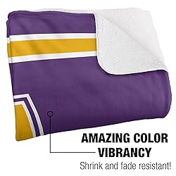 University of Albany Blanket, 60"x80" Primary Logo