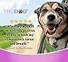TruDog: Gel Me - Dental Care for Dogs - Doggy Dental Gel - No Alcohol, All-Natural Ingredients That Freshen Breath, Reduce Dental Plaque and Tartar Build-Up - No Brushing