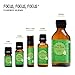 Edens Garden Focus, Focus, Focus Essential Oil Roll-On Blend- 100% Pure Premium Grade, Natural, Therapeutic, Aromatherapy, Kid & Skin Safe, The Best for Comfort, Tension Pre-Diluted 10 ml (.33 fl oz)
