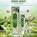 Chinese Herbal Hemorrhoids Cream, Natural Plant Hemorrhoids Treatment Cream Anal Cream for Internal Hemorrhoids Piles External Anal Fissure