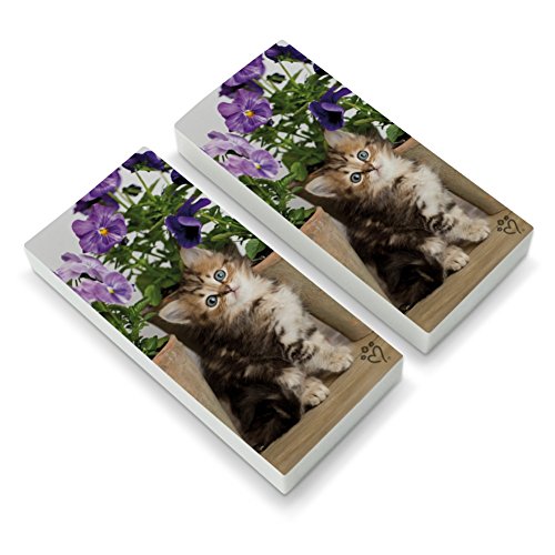 Ragdoll Tiffany Kitten Cat Flower Pots Eraser Set of 2