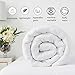 EASELAND All Season Queen Soft Quilted Down Alternative Comforter Hotel Collection Reversible Duvet Insert Fill with Corner Ties,Winter Warm Fluffy,White,88 by 88 Inches