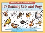 It's Raining Cats & Dogs by Jackie Franza