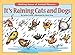 It's Raining Cats & Dogs by Jackie Franza