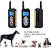 Larnn Dog Training Collar Waterproof and Rechargeable Vibration Beep Static Mode Electric Collar with 2000ft Remote Behavior Aids for Dogs Petsthumb 4